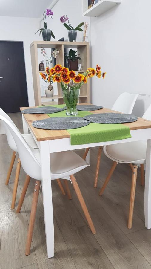Apartament Karina Năvodari Extérieur photo